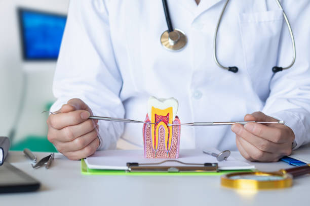 Best Cracked Tooth Emergency Dentist  in Friedens, PA
